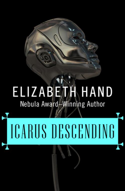 Cover of the book Icarus Descending by Elizabeth Hand, Open Road Media