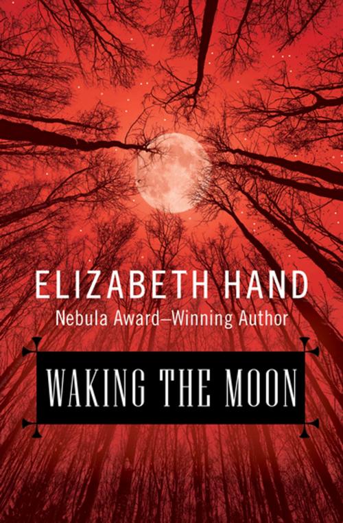 Cover of the book Waking the Moon by Elizabeth Hand, Open Road Media