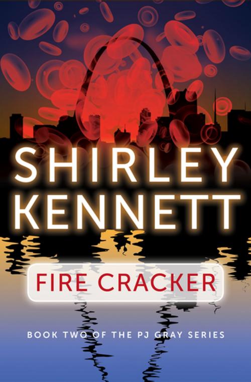 Cover of the book Fire Cracker by Shirley Kennett, Open Road
