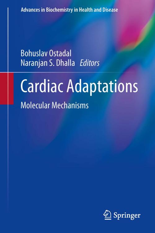 Cover of the book Cardiac Adaptations by , Springer New York