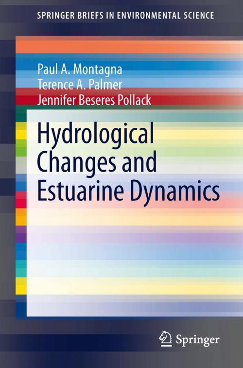 Cover of the book Hydrological Changes and Estuarine Dynamics by Paul Montagna, Terence A. Palmer, Jennifer Beseres Pollack, Springer New York