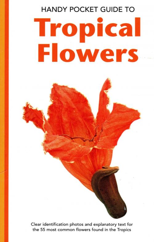 Cover of the book Handy Pocket Guide to Tropical Flowers by William Warren, Tuttle Publishing