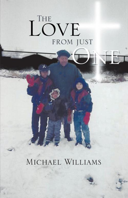 Cover of the book The Love from Just One by Michael Williams, Trafford Publishing