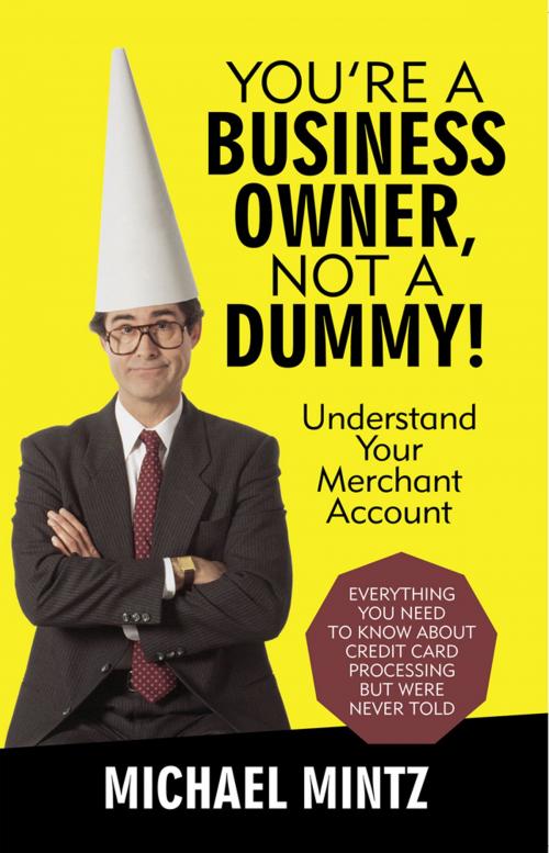 Cover of the book You’Re a Business Owner, Not a Dummy! by Michael Mintz, iUniverse