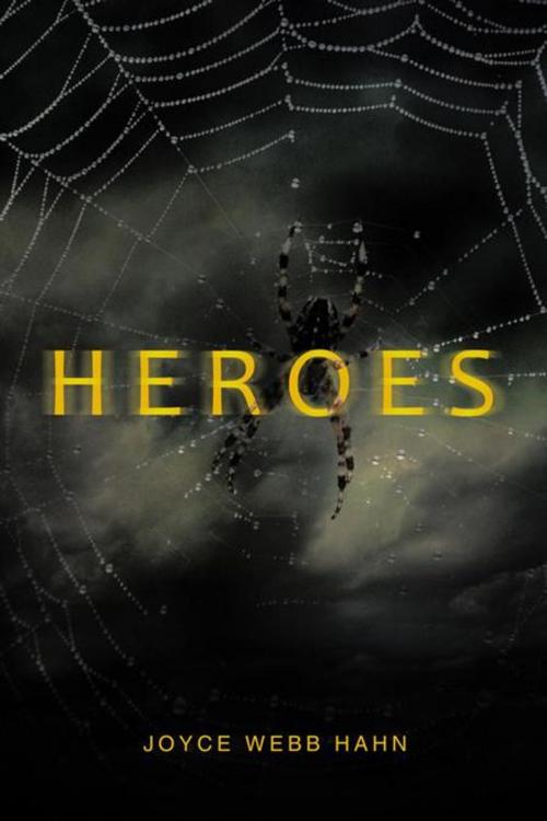 Cover of the book Heroes by Joyce Webb Hahn, iUniverse