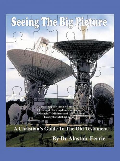 Cover of the book Seeing the Big Picture by Dr Alastair T. Ferrie, iUniverse