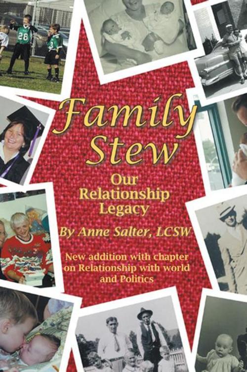Cover of the book Family Stew by Anne Salter LCSW, iUniverse