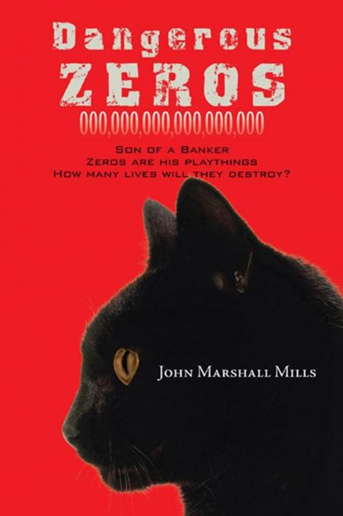 Cover of the book Dangerous Zeros by John Marshall Mills, AuthorHouse UK