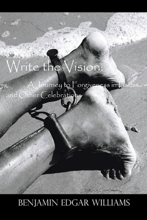 Cover of the book Write the Vision: a Journey to Forgiveness in Poems and Other Celebrations by Benjamin Edgar Williams, AuthorHouse