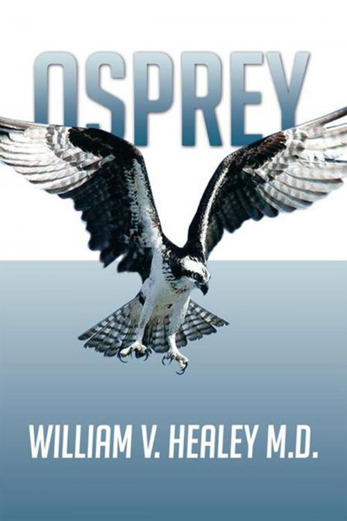 Cover of the book Osprey by William V. Healey, Xlibris US