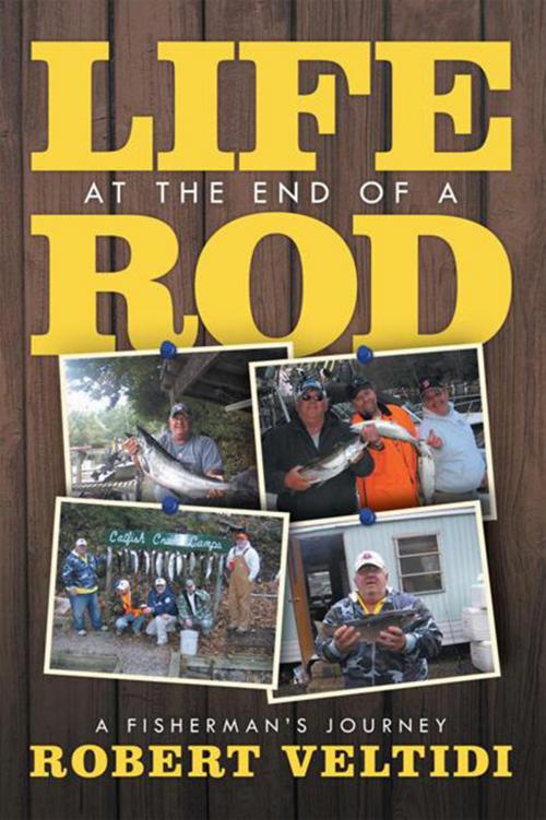 Cover of the book Life at the End of a Rod by Robert Veltidi, Xlibris US