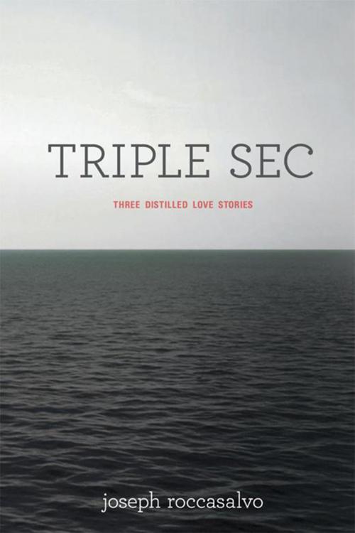Cover of the book Triple Sec by Joseph Roccasalvo, Xlibris US