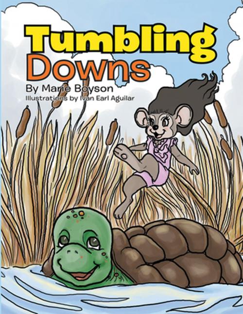 Cover of the book Tumbling Downs by Marie Boyson, Xlibris AU