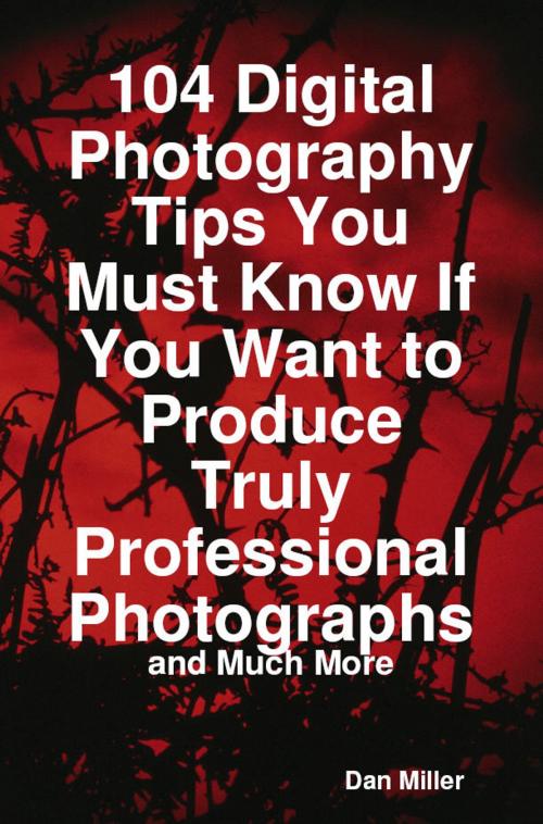 Cover of the book 104 Digital Photography Tips You Must Know If You Want to Produce Truly Professional Photographs - and Much More by Dan Miller, Emereo Publishing