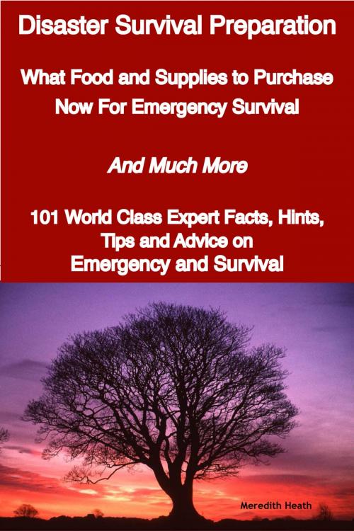Cover of the book Disaster Survival Preparation - What Food and Supplies to Purchase Now For Emergency Survival - And Much More - 101 World Class Expert Facts, Hints, Tips and Advice on Survival and Emergency by Meredith Heath, Emereo Publishing
