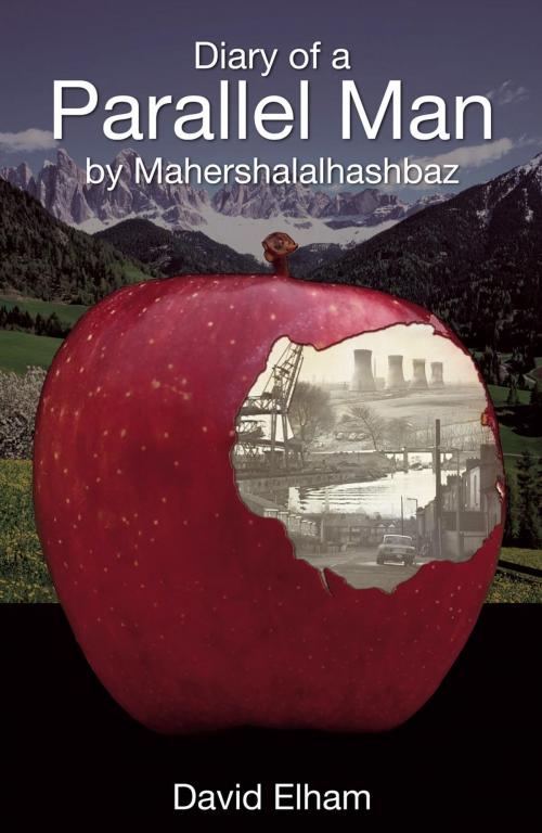 Cover of the book Diary of a Parallel Man by Mahershalalhashbaz by David Elham, FBS Publishing