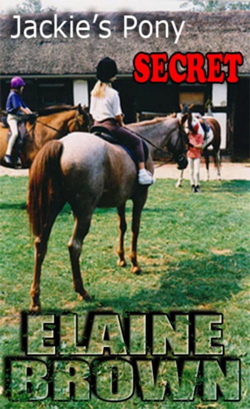 Cover of the book Jackie's Pony Secret by elaine brown, cats eyes publication