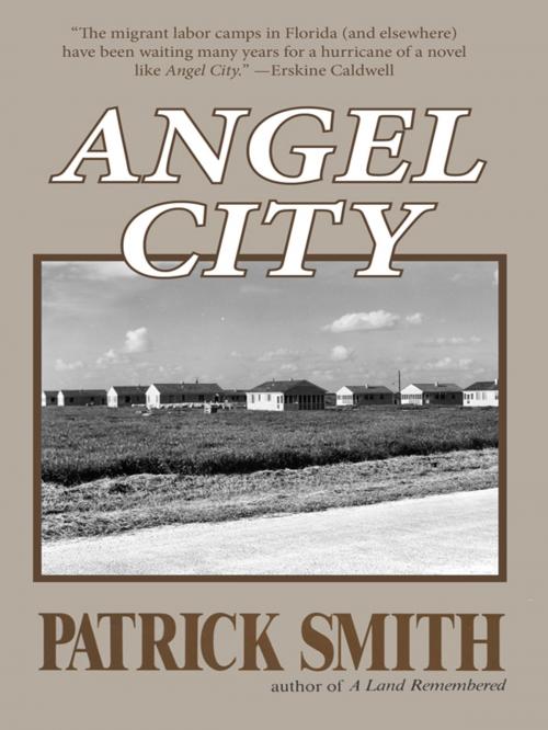 Cover of the book Angel City by Patrick D. Smith, Pineapple Press, Inc.