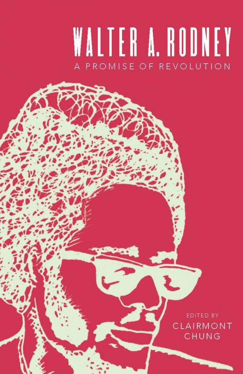 Cover of the book Walter Rodney by , Monthly Review Press