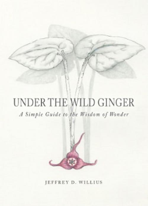 Cover of the book Under the Wild Ginger by Jeffrey Willius, Bunker Hill Publishing Inc