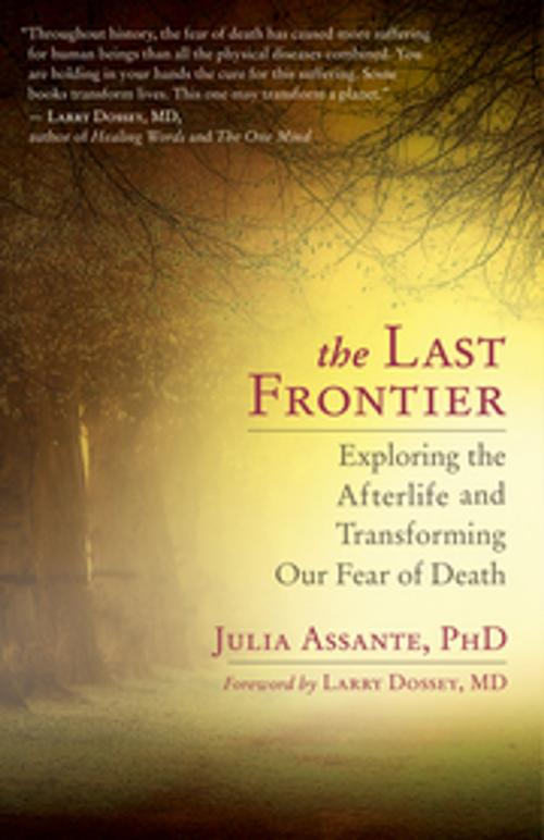 Cover of the book The Last Frontier by Julia Assante, PhD, New World Library