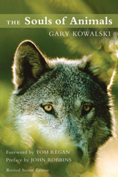 Cover of the book The Souls of Animals by Gary Kowalski, New World Library