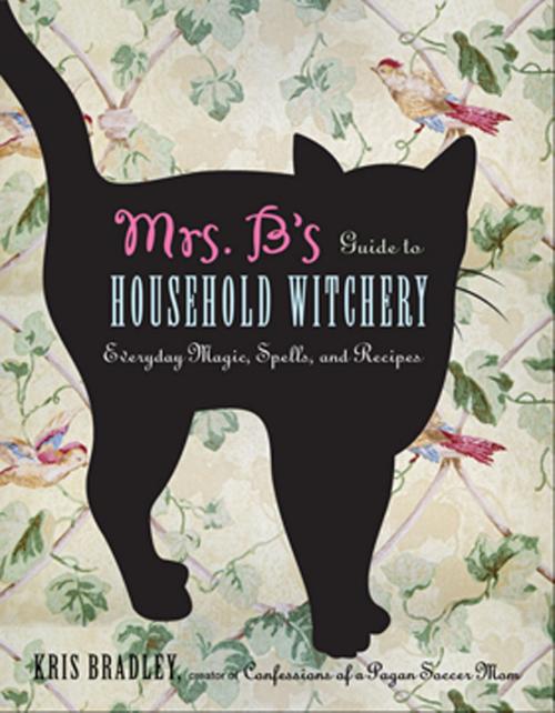 Cover of the book Mrs. B's Guide to Household Witchery by Bradley, Kris, Red Wheel Weiser