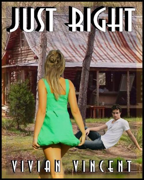 Cover of the book Just Right by Vivian Vincent, Excessica