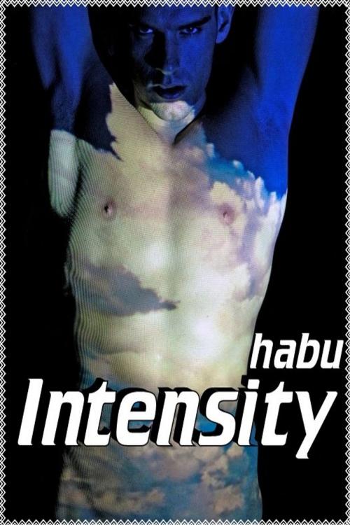 Cover of the book Intensity by habu, Excessica