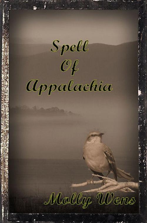 Cover of the book Spell of Appalachia by Molly Wens, Excessica