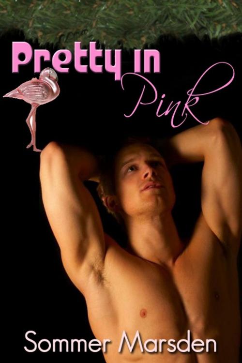 Cover of the book Pretty In Pink by Sommer Marsden, Excessica