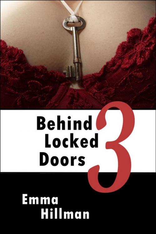 Cover of the book Behind Locked Doors 3 by Emma Hillman, Excessica