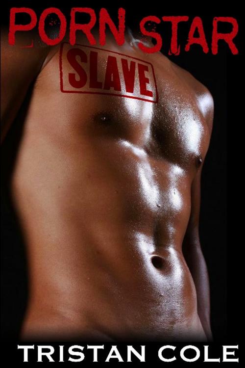 Cover of the book Porn Star Slave by Tristan Cole, Excessica
