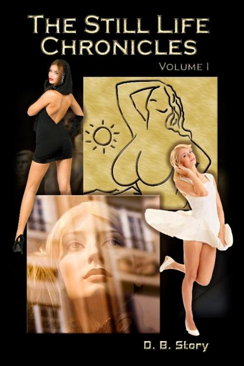 Cover of the book Still Life Chronicles: Volume 1 by D.B. Story, Excessica