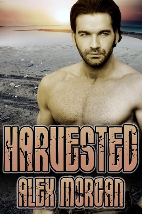 Cover of the book Harvested by Alex Morgan, JMS Books LLC