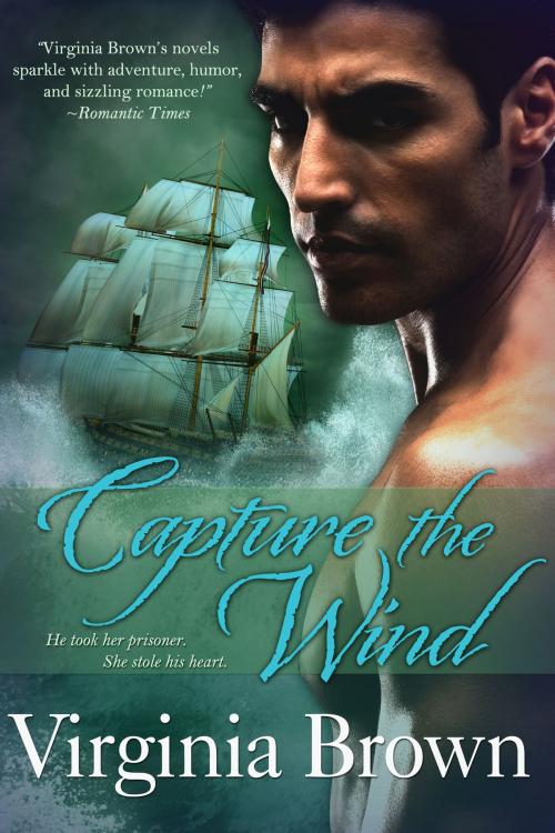 Cover of the book Capture The Wind by Virginia Brown, BelleBooks Inc.