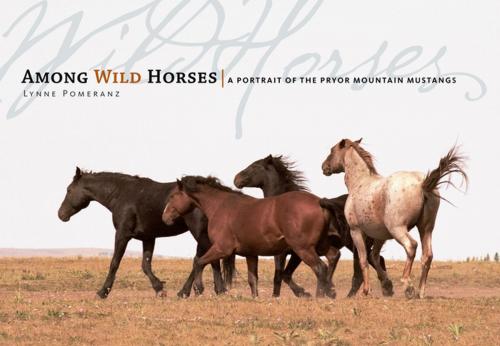 Cover of the book Among Wild Horses by Lynne Pomeranz, Storey Publishing, LLC