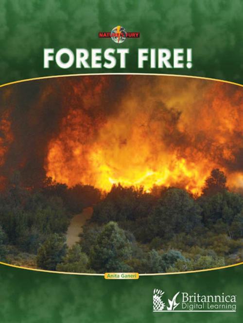 Cover of the book Forest Fire! by Anita Ganeri, Britannica Digital Learning