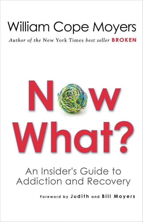 Cover of the book Now What? by William Cope Moyers, Hazelden Publishing