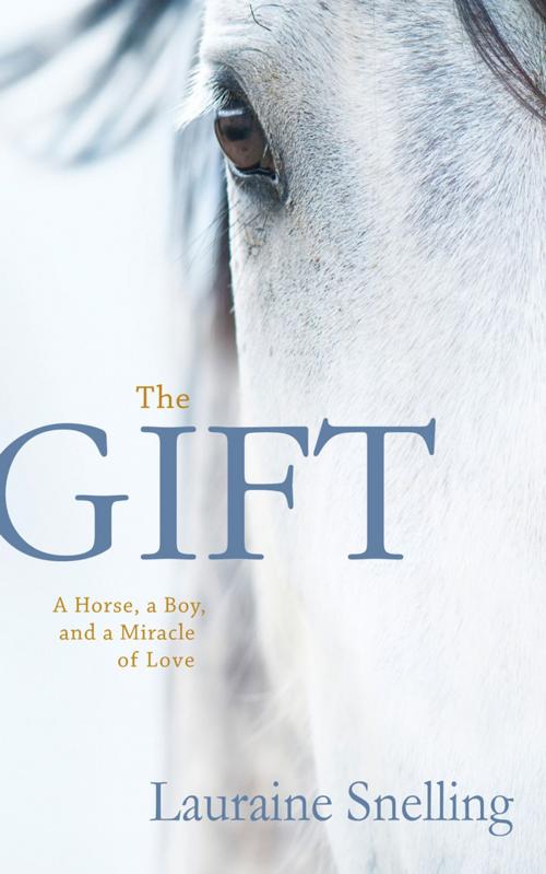 Cover of the book The Gift by Lauraine Snelling, Mission Books