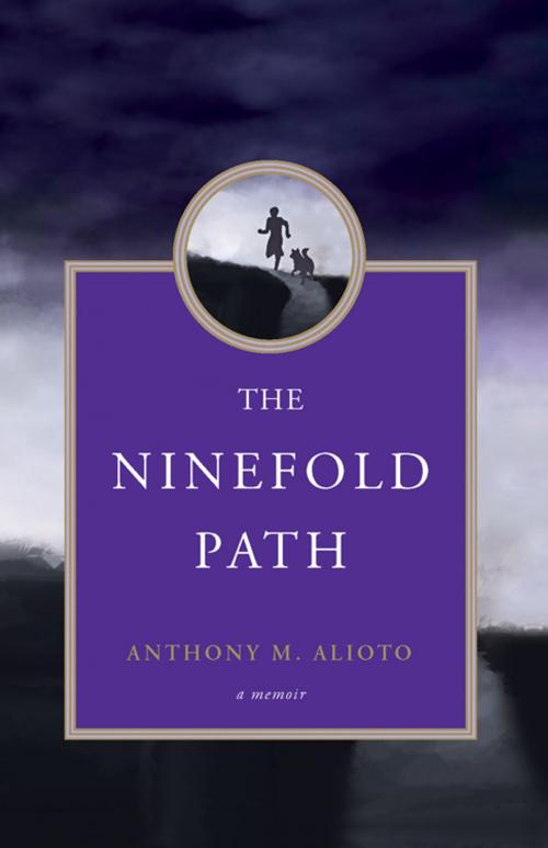 Cover of the book The Ninefold Path by Anthony Alioto, Red Wheel Weiser