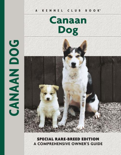 Cover of the book Canaan Dog by Joy Levine, CompanionHouse Books