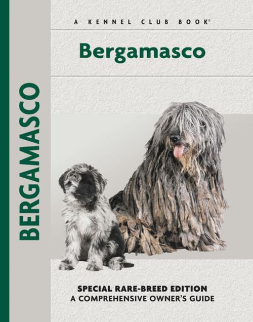 Cover of the book Bergamasco by Andreoli, Donn De Falcis, CompanionHouse Books