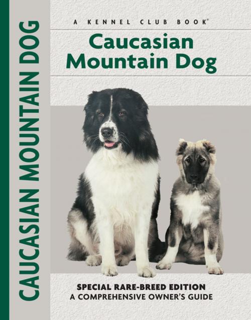 Cover of the book Caucasian Mountain Dog by Stacey Kubyn, Layne Grether, CompanionHouse Books