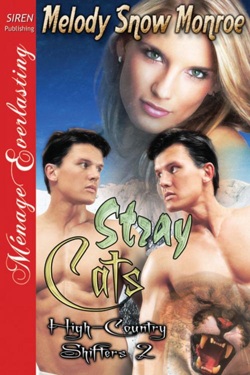 Cover of the book Stray Cats by Melody Snow Monroe, Siren-BookStrand