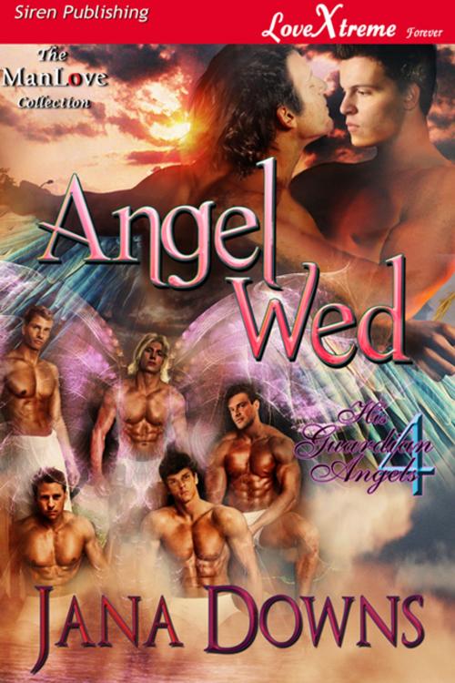 Cover of the book Angel Wed by Jana Downs, Siren-BookStrand
