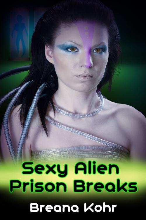Cover of the book Sexy Alien Prison Breaks by Breana Kohr, Xplicit Press