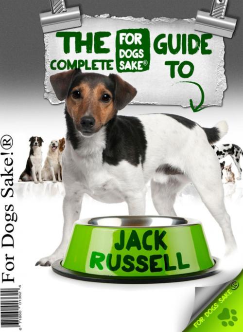 Cover of the book All About Jack Russells by J Sparrow, J Sparrow, For Dogs Sake®