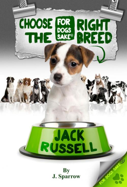 Cover of the book Choose the Right Breed - Jack Russells by Jack Sparrow, For Dogs Sake®
