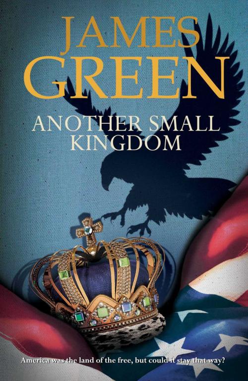 Cover of the book Another Small Kingdom by James Green, Accent Press